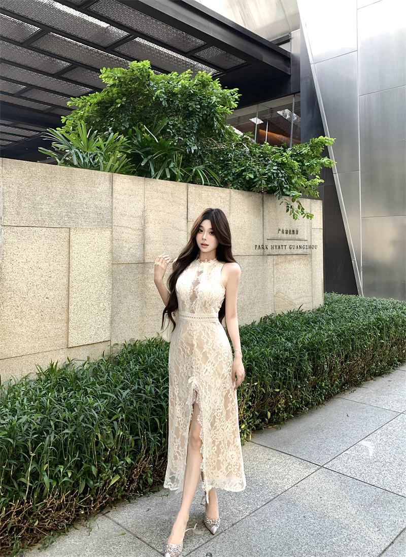 Sexy Lace Sleeveless Bodycon Dress for Women 2026 Summer Hollow Out Long Dress - Image 2